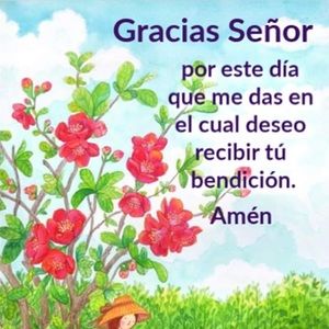 Meet your Posher, Sandy